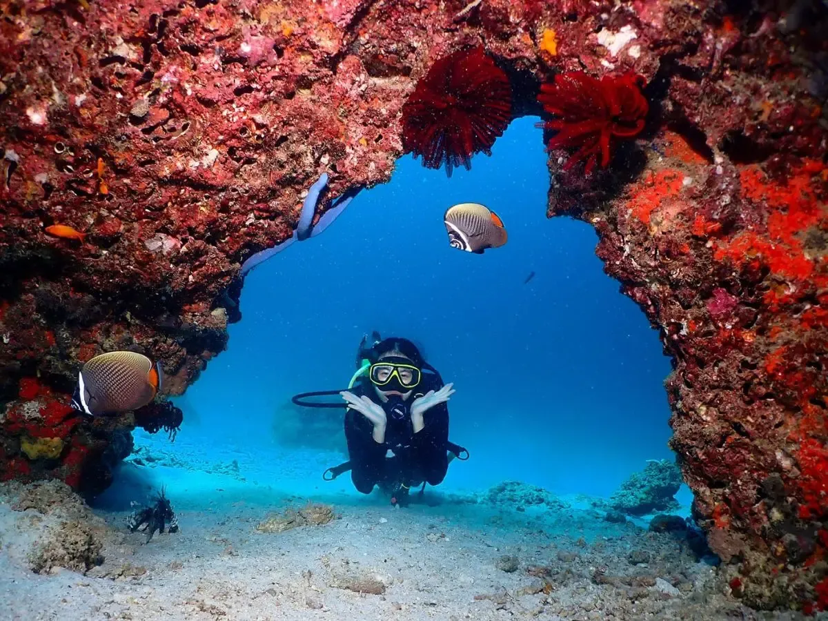 Scuba diver passing through a coral-covered reef arch