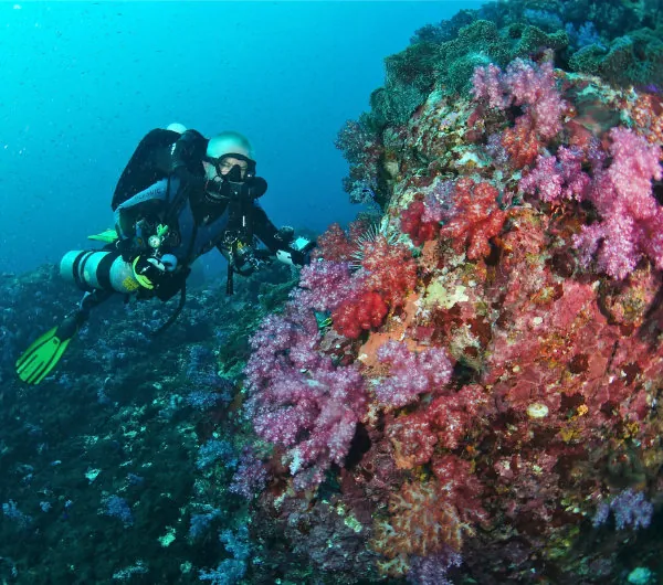 Scuba diver exploring a colourful coral reef